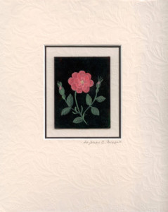 Pink Flower matted embossed.jpeg 100