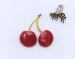 cherries and bee painted aunan
