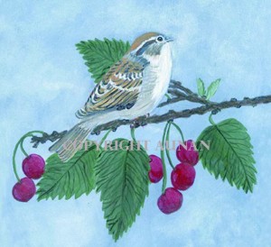 Bird and Cherries