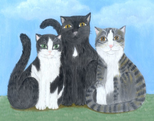 three kitties 